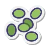 Sección de Legumbres
