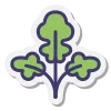 Sección de Hierbas