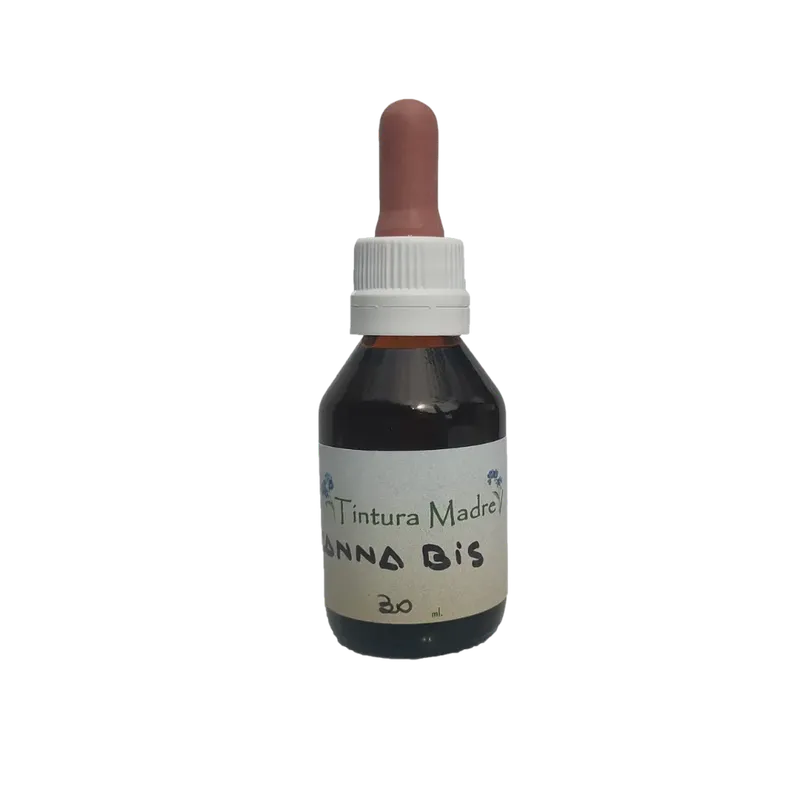 Tintura madre cannabis