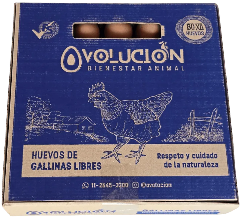 Huevo Color Pastoril XL