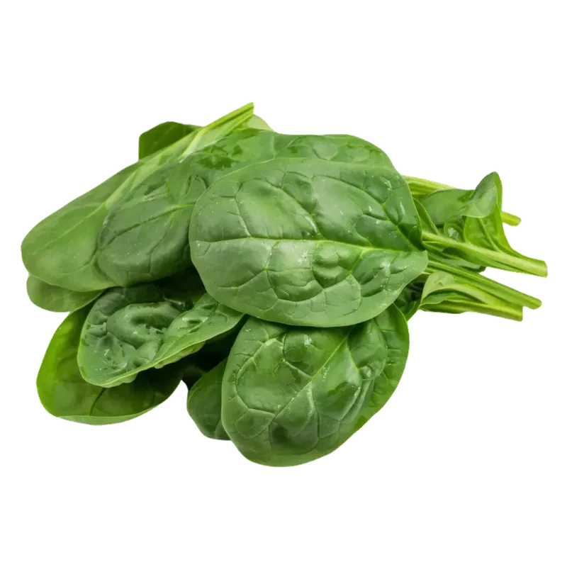 Espinaca agroecológica