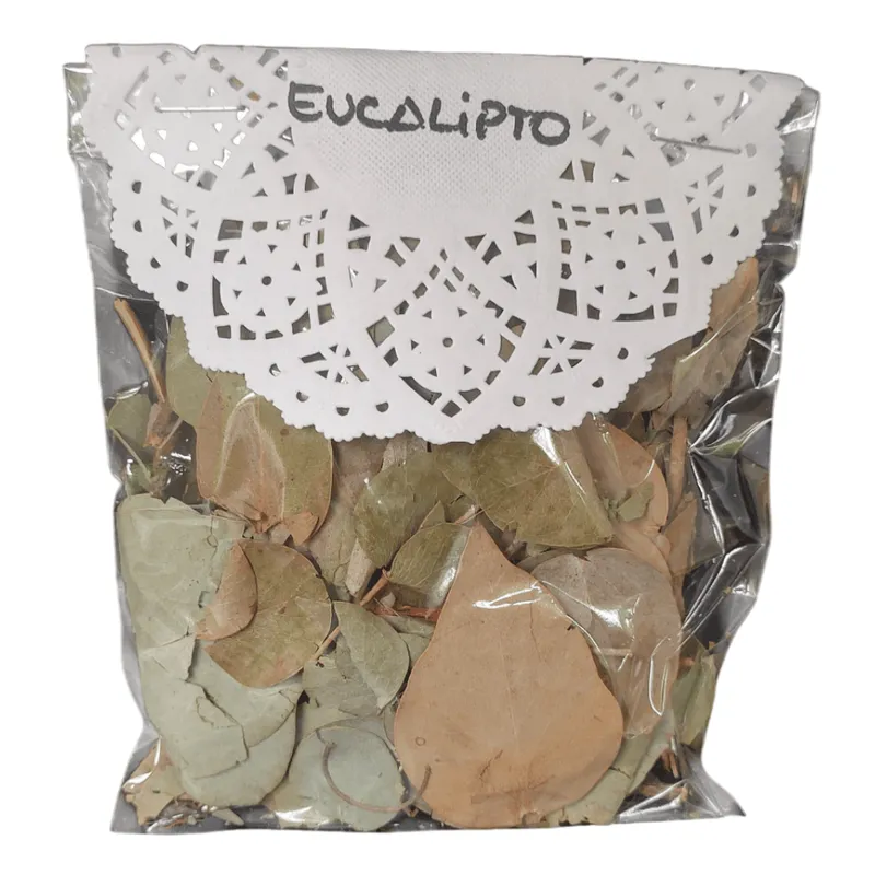 Eucalipto