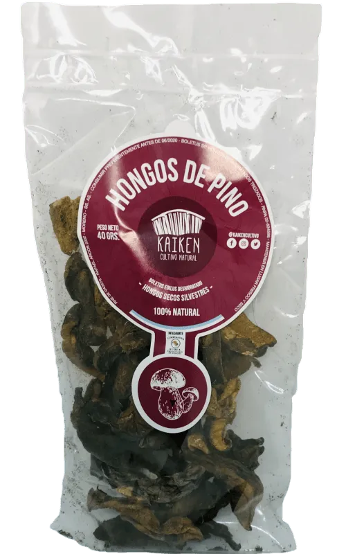 Hongos Pino Secos