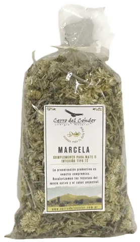 Marcela