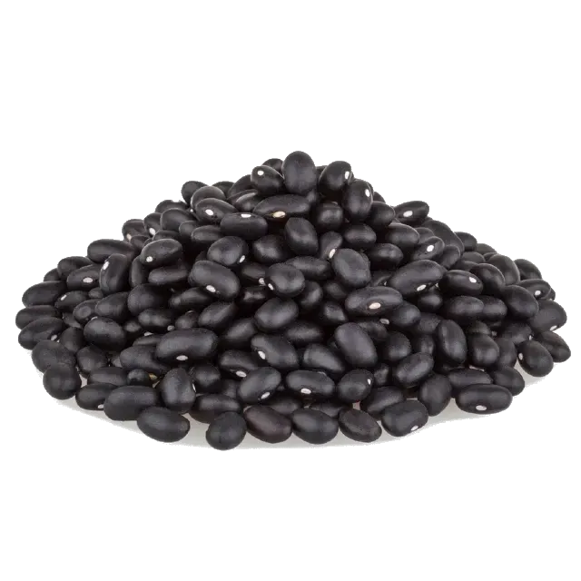 Poroto negro