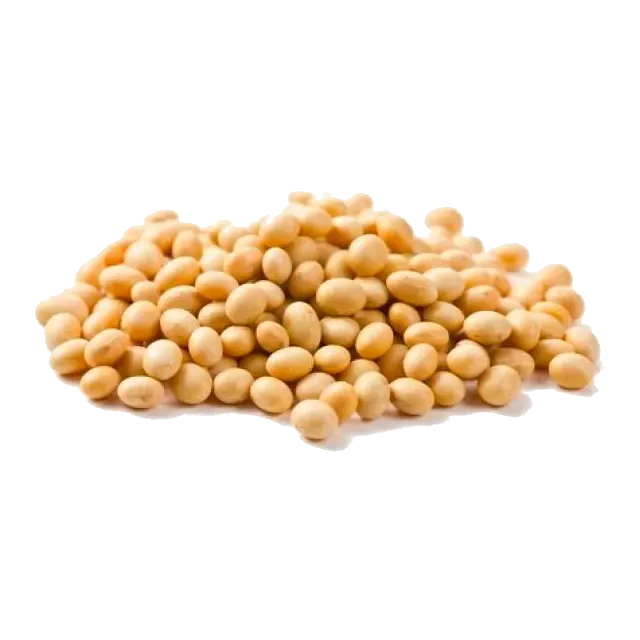 Poroto de soja orgánico