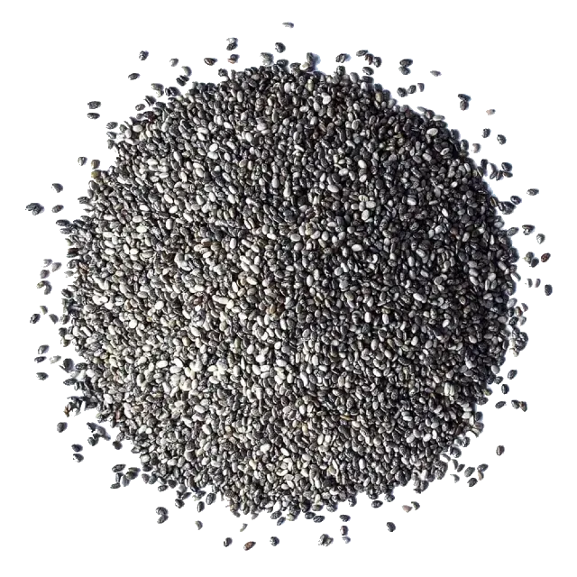 Chia