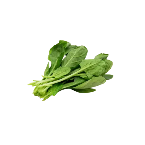 Rúcula agroecológica