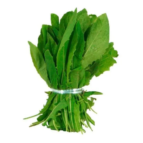 Achicoria agroecológica