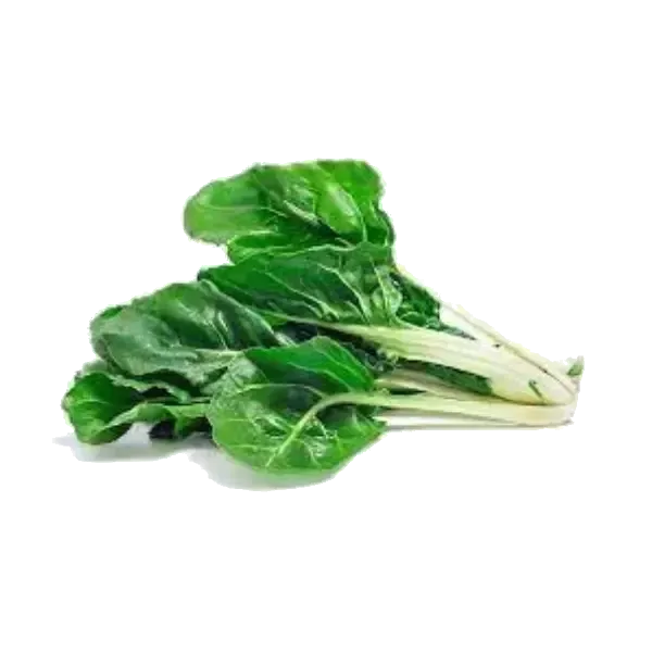 Acelga agroecológica