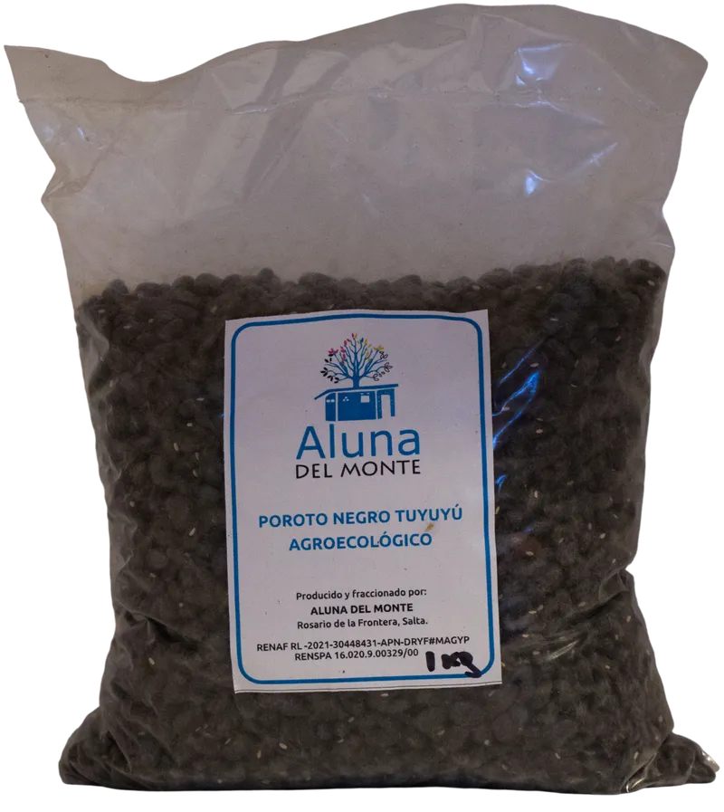 Poroto negro agroecologico 