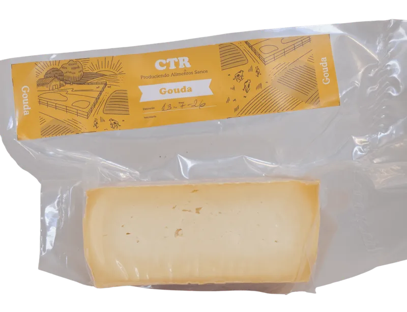 Queso Gouda 