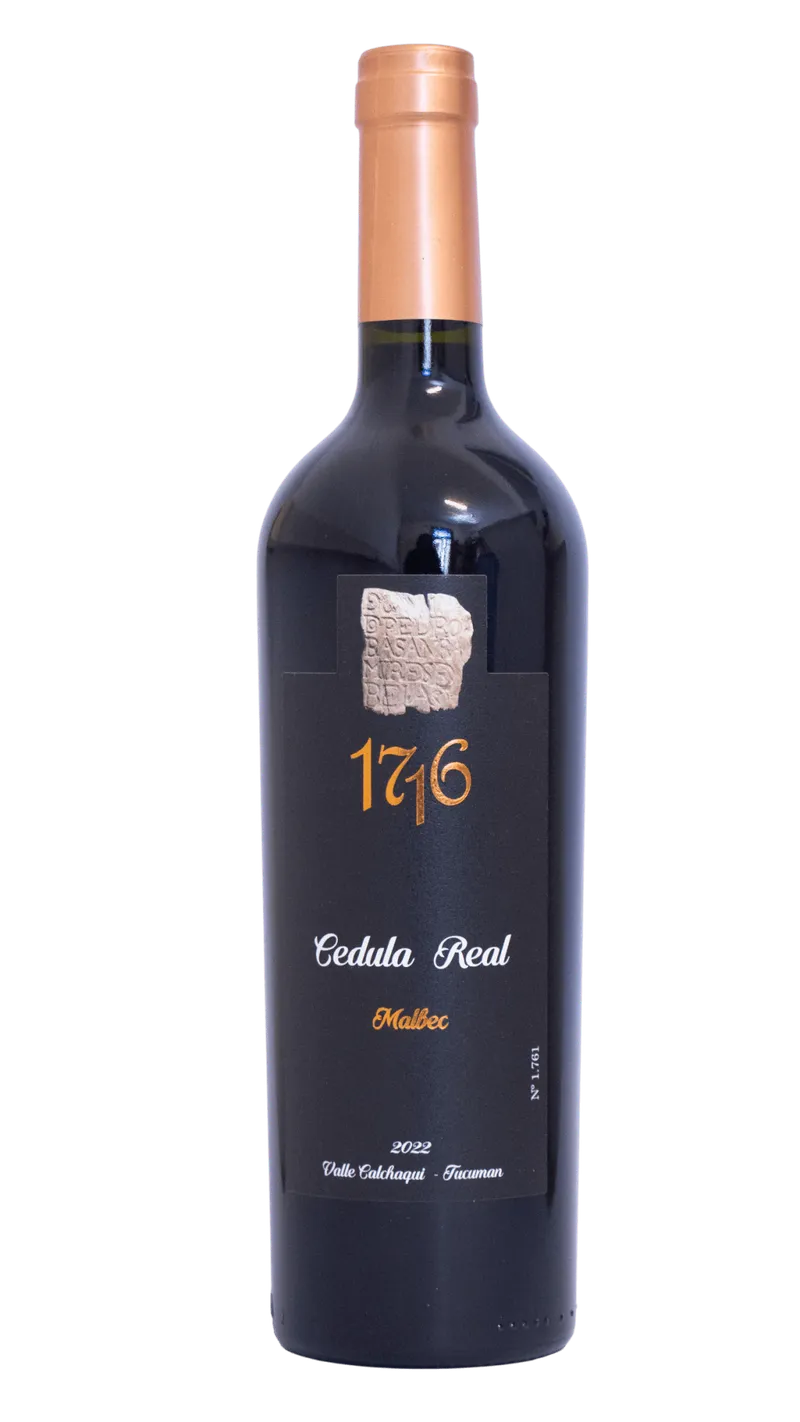 Vino malbec joven 
