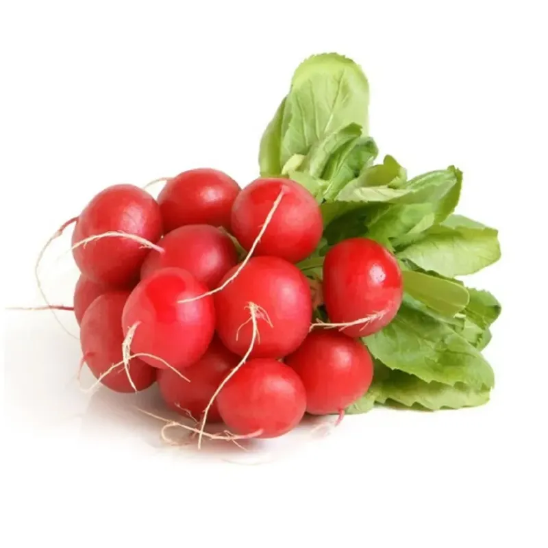 Rabanito agroecológico