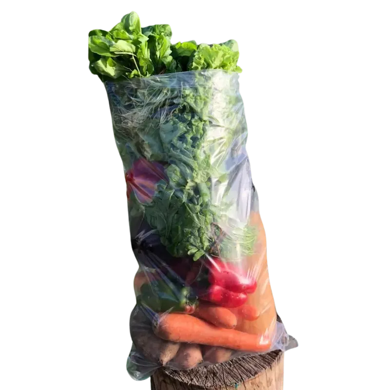 Bolson de verduras agroecologicas 5kg