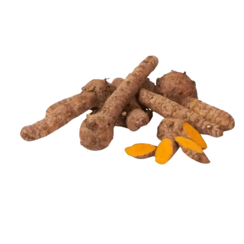 Curcuma 