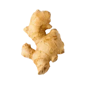 Jengibre