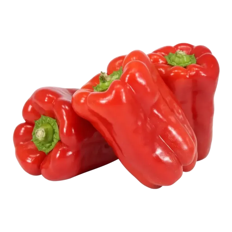 Morron Rojo