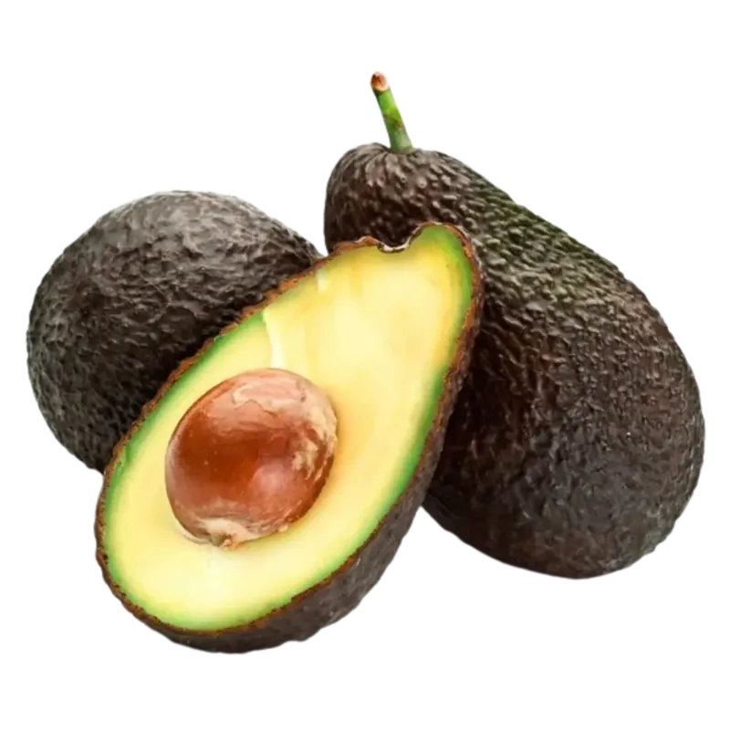 Palta hass agro