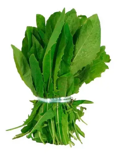 Radicheta agroecológica