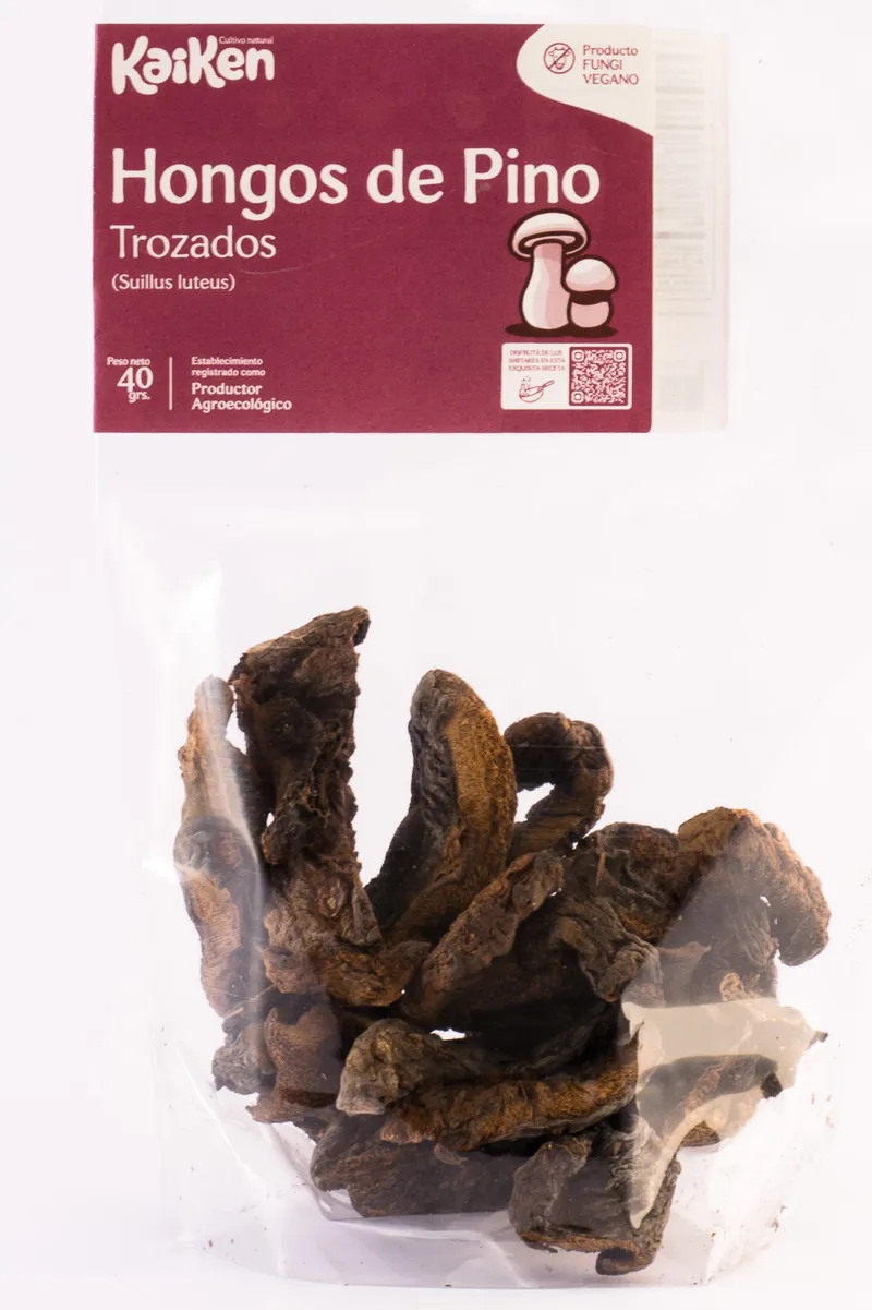 Hongos Pino Secos