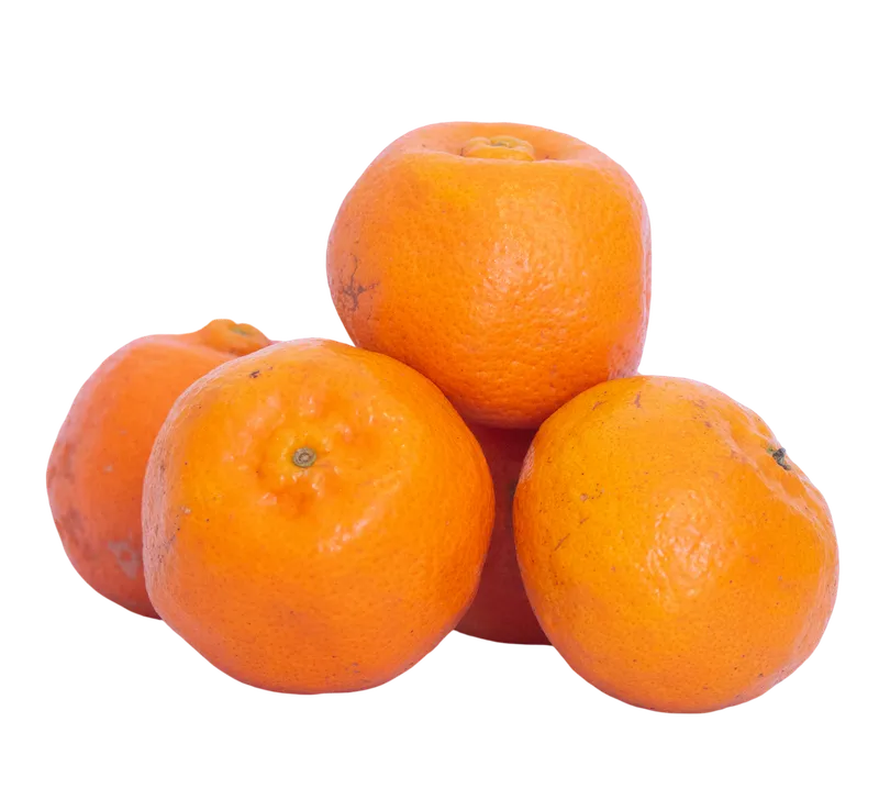Mandarina agrocológica